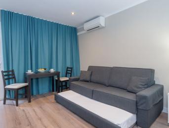 Appartement Loft avec terrasse